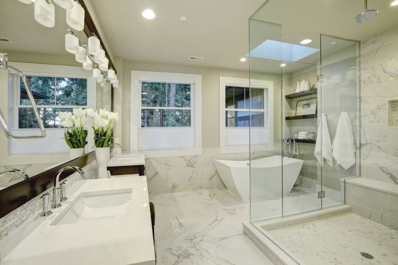 Contemporary Shower Designs
